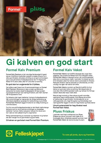 Gi kalven en god start