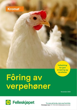 Fôring av verpehøner