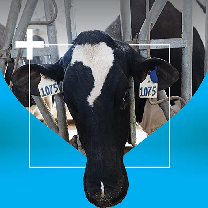 720x720 DeLaval Plus.jpg