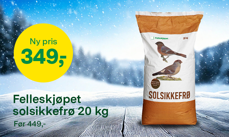 Spar 100 kr på 29 kg solsikkefrø