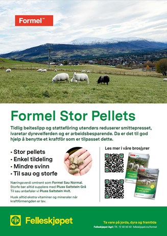 Formel Stor Pellets