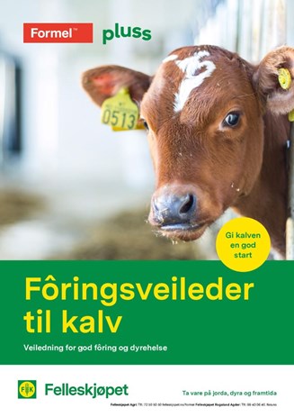 Fôringsveileder til kalv