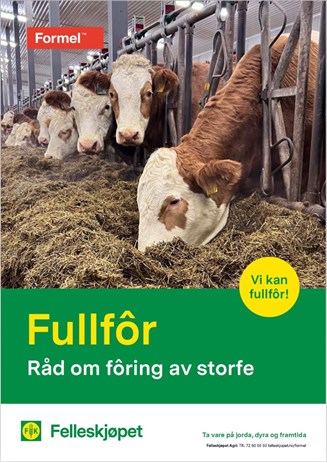 Fullfôr - råd om fôring av storfe