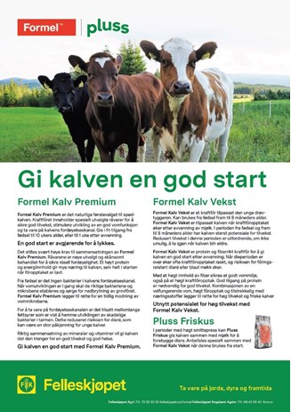 Gi kalven en god start